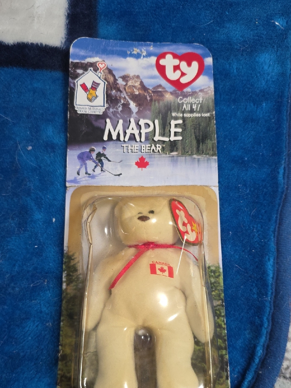 Ty Maple The Bear Plush - Cream with Red Accents